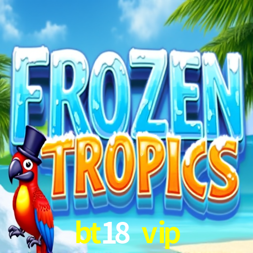Experimente o Login Seguro Premium no bt18 vip